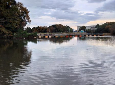 大安トラウトレイク釣果